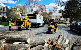 Landscape Design and Installation in Northumberland, PA